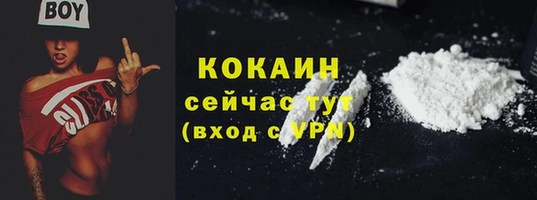 твердый Козловка
