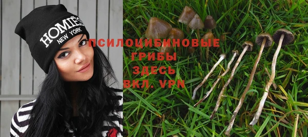 твердый Козловка