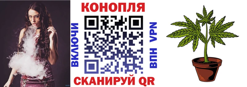 Купить где  Лангепас  МАРИХУАНА Amnesia 